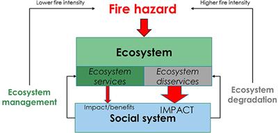 Fire-Regulating Services and Disservices With an Application to the Haifa-Carmel Region in Israel
